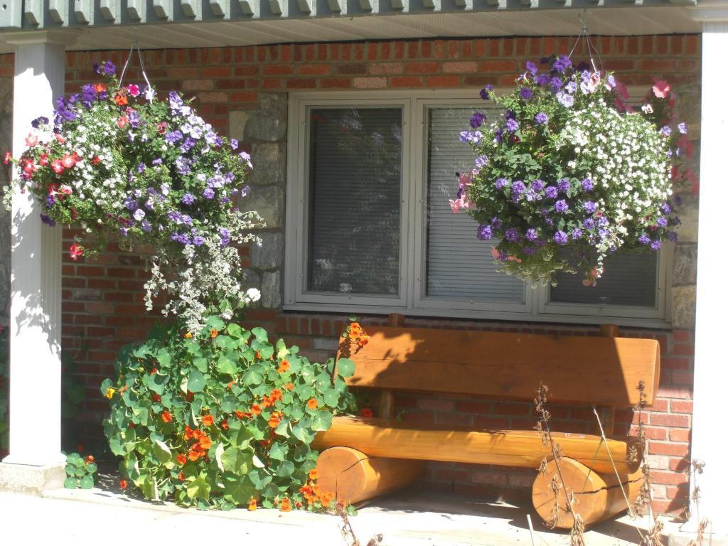 Dream Catcher Inn Valemount Exterior foto